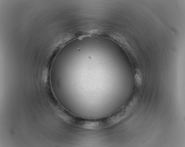 X0000113880458200910081750