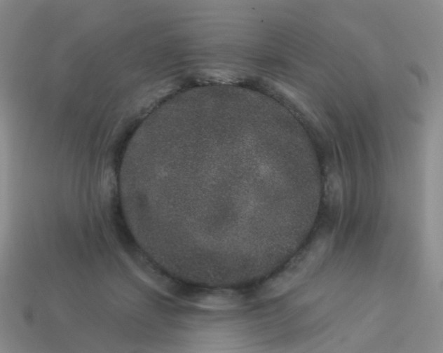 X0000113880459200910081750