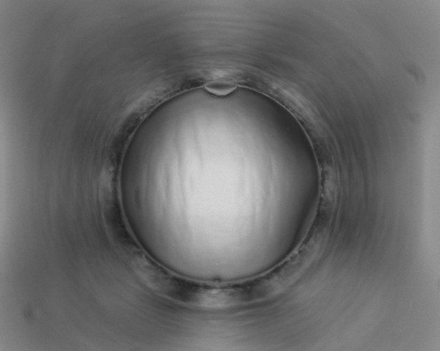 X0000113880461200910081750