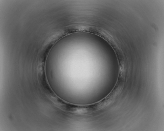 X0000113880462200910081750