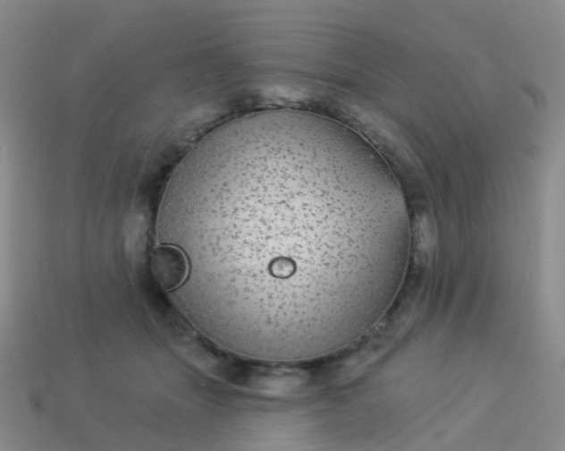 X0000113880463200910081750