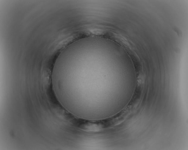 X0000113880464200910081750