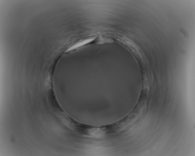 X0000113880465200910081750