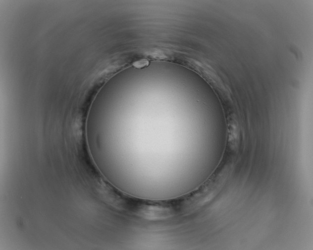 X0000113880466200910081750