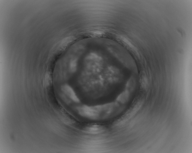 X0000113880467200910081750