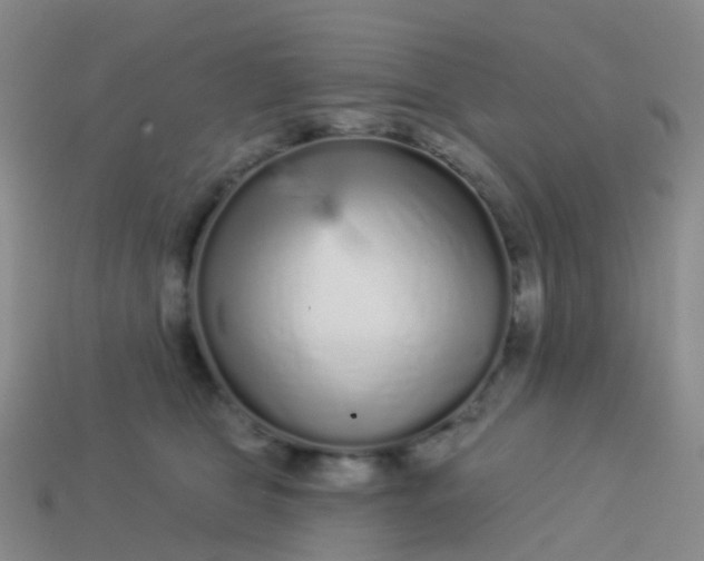 X0000113880469200910081750