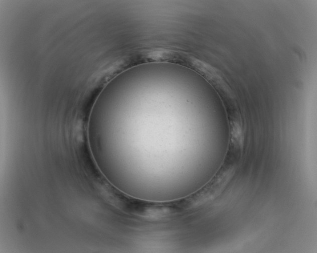 X0000113880470200910081750