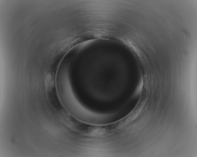 X0000113880471200910081750