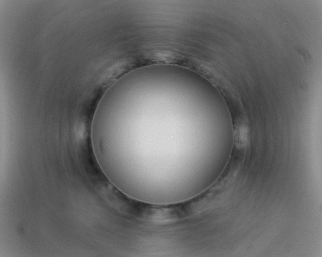 X0000113880472200910081750