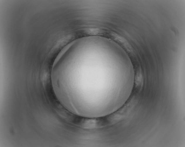 X0000113880473200910081750