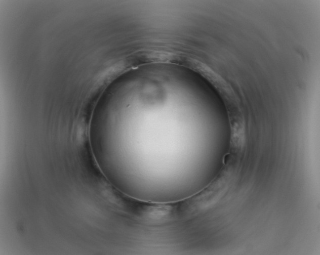 X0000113880474200910081750