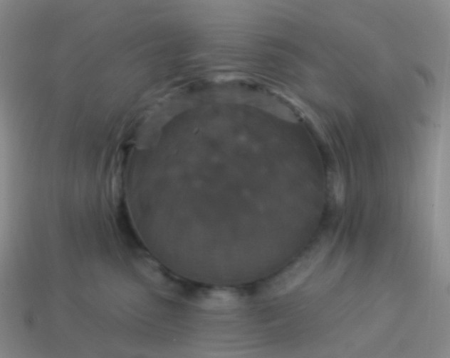 X0000113880475200910081750