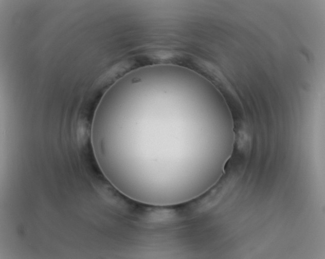 X0000113880476200910081750