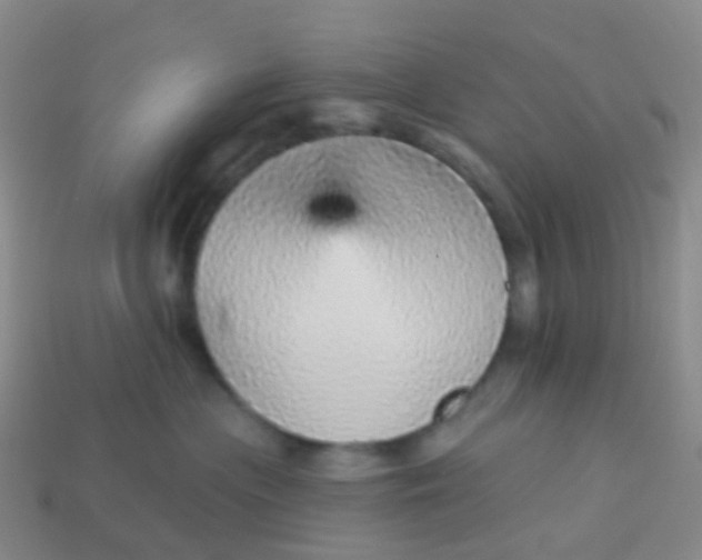 X0000113880477200910081750