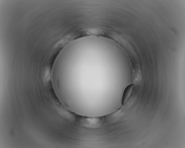 X0000113880478200910081750