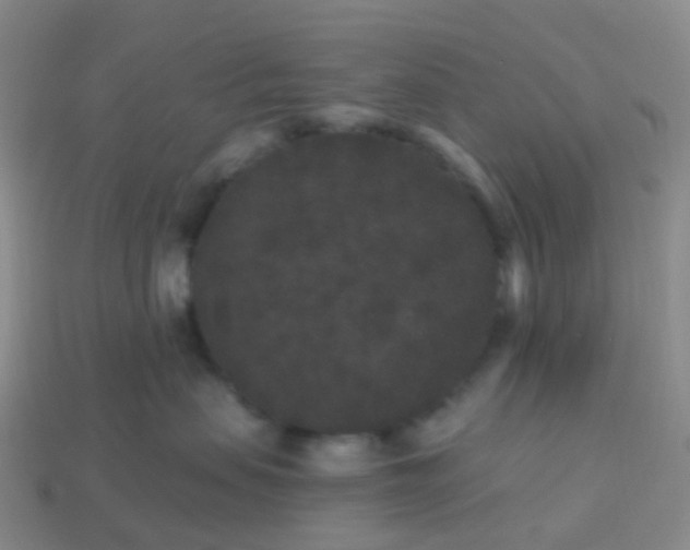 X0000113880479200910081750