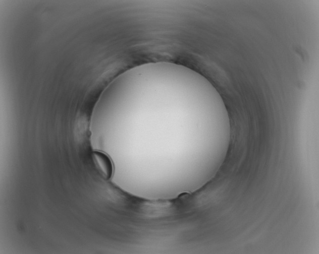 X0000113880480200910081750