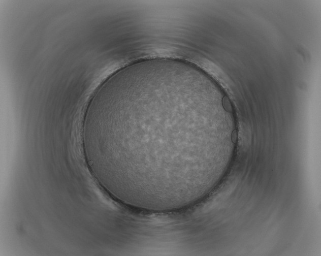 X0000113880481200910081750