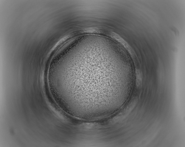 X0000113880482200910081750