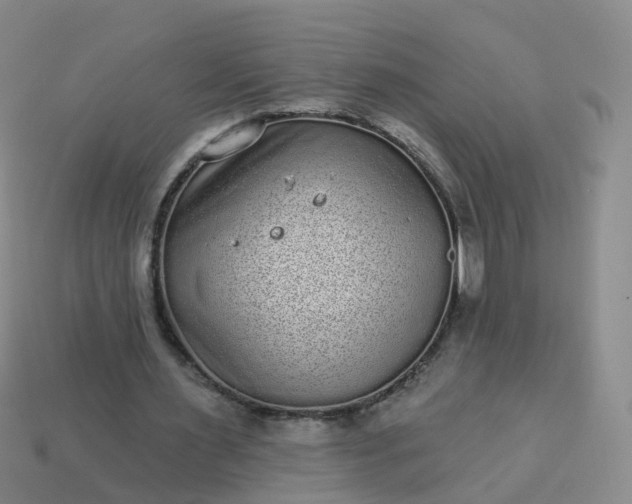 X0000113880483200910081750