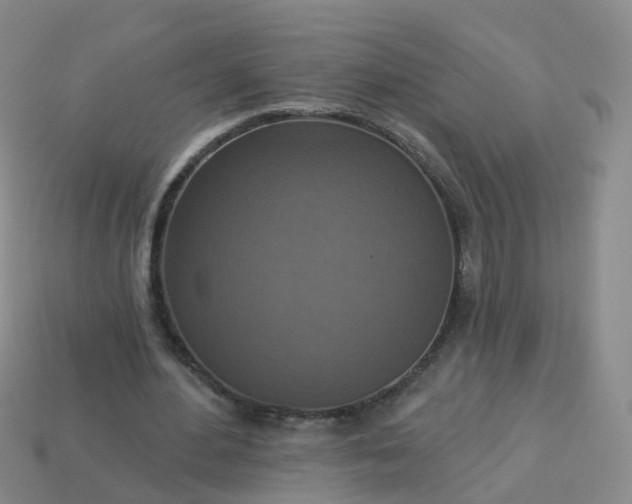 X0000113880484200910081750