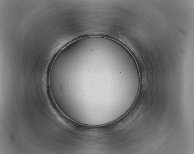 X0000113880485200910081750