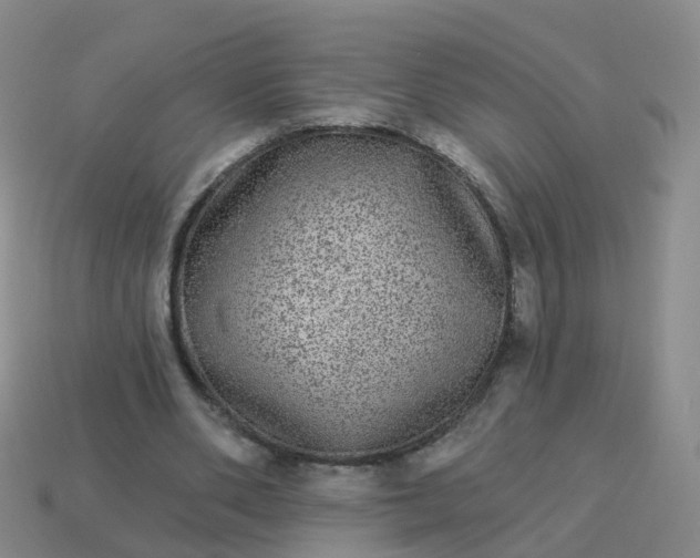 X0000113880486200910081750