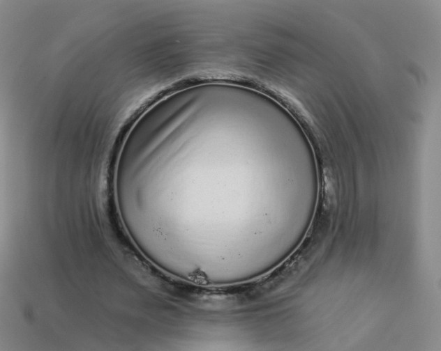 X0000113880487200910081750