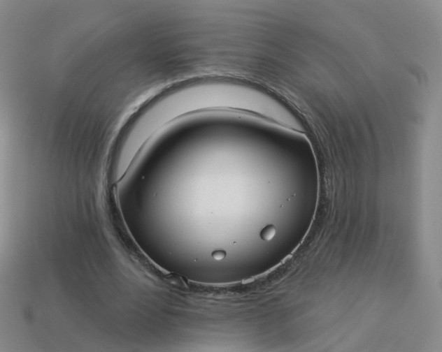 X0000113880488200910081750