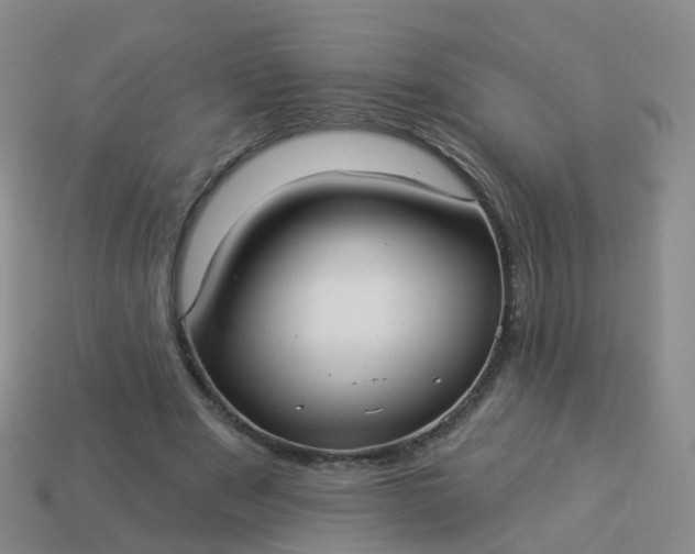 X0000113880489200910081750