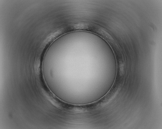 X0000113880490200910081750