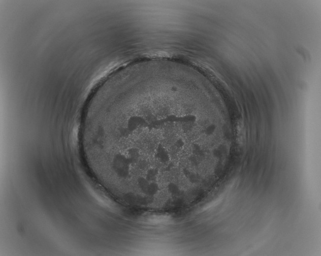 X0000113880491200910081750