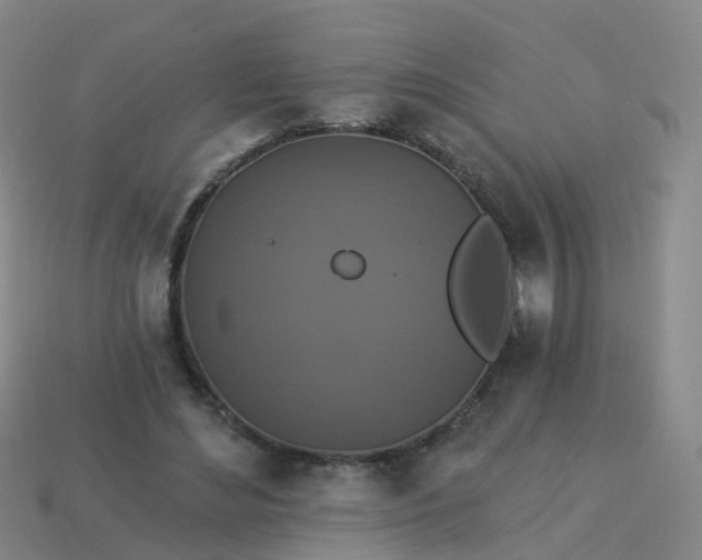 X0000113880492200910081750