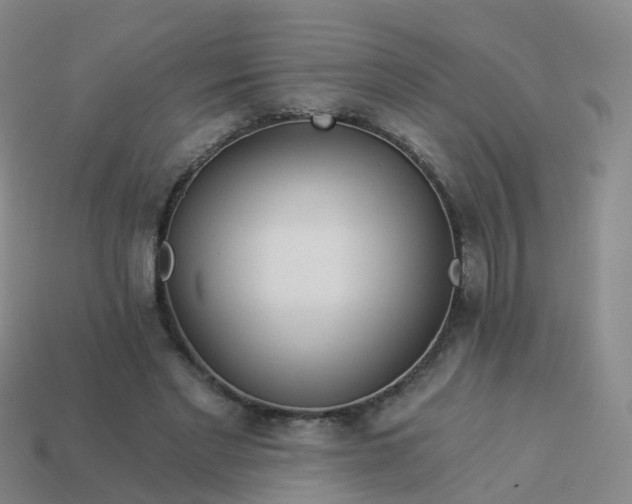 X0000113880493200910081750