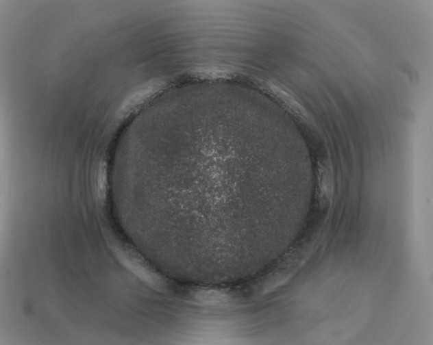 X0000113880494200910081750