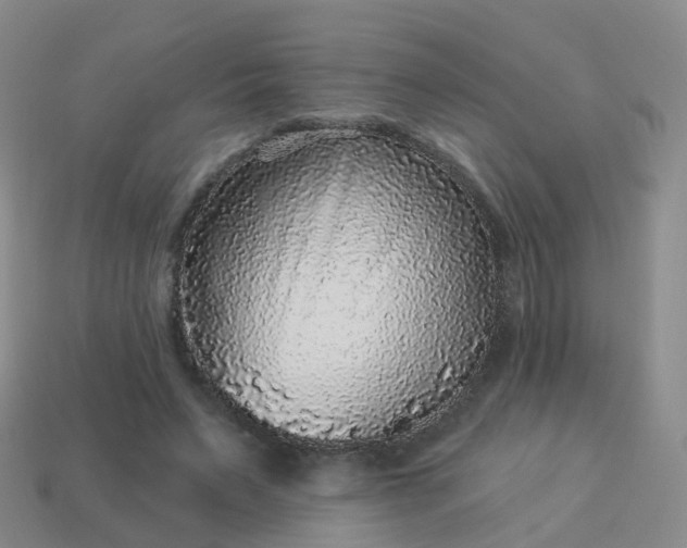 X0000113880495200910081750