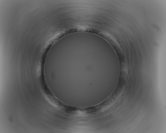 X0000113880496200910081750