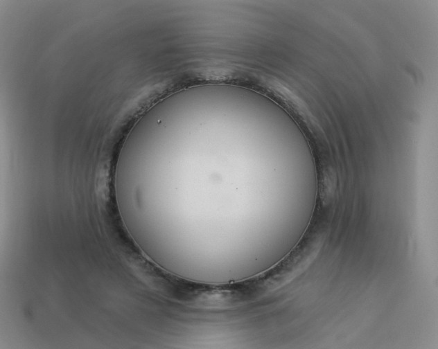 X0000113880497200910081750