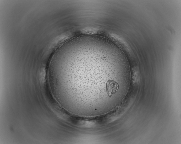 X0000113880498200910081750