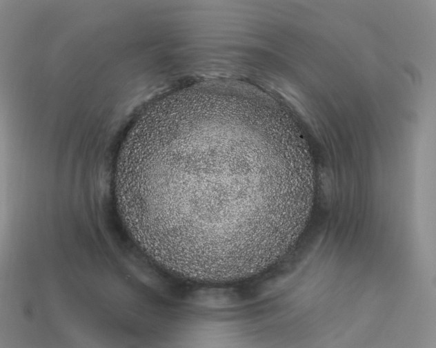 X0000113880499200910081749