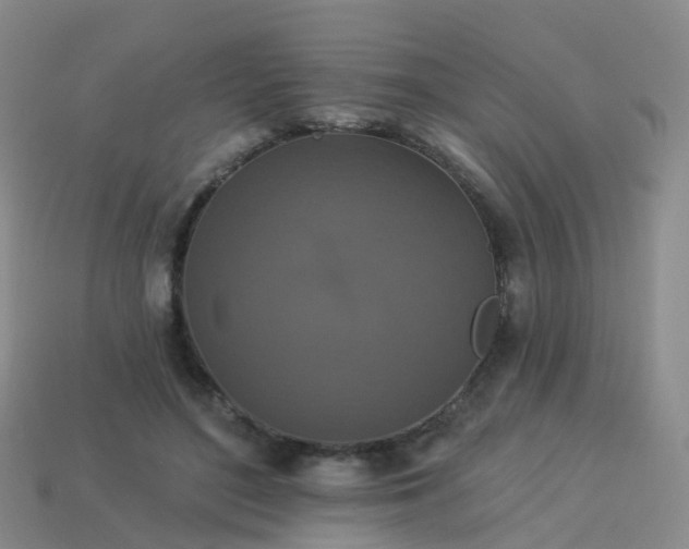 X0000113880500200910081749