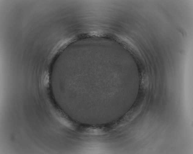 X0000113880502200910081749