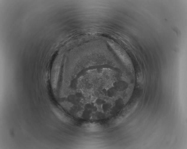 X0000113880503200910081749