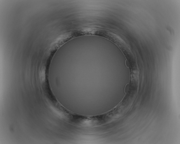 X0000113880504200910081749