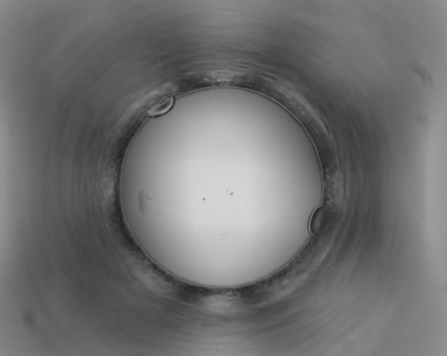 X0000113880505200910081749