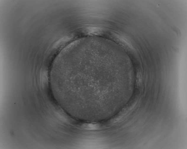 X0000113880506200910081749