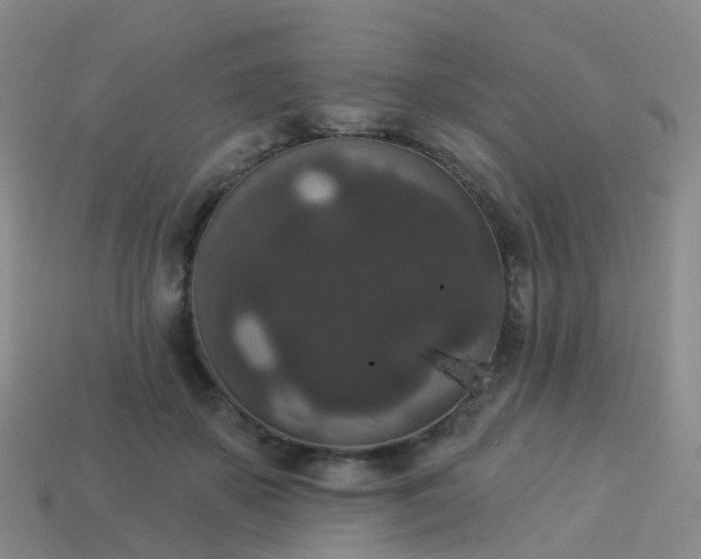 X0000113880507200910081749