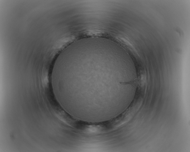 X0000113880508200910081749