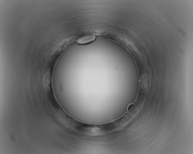 X0000113880509200910081749