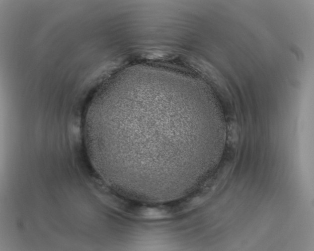 X0000113880510200910081749